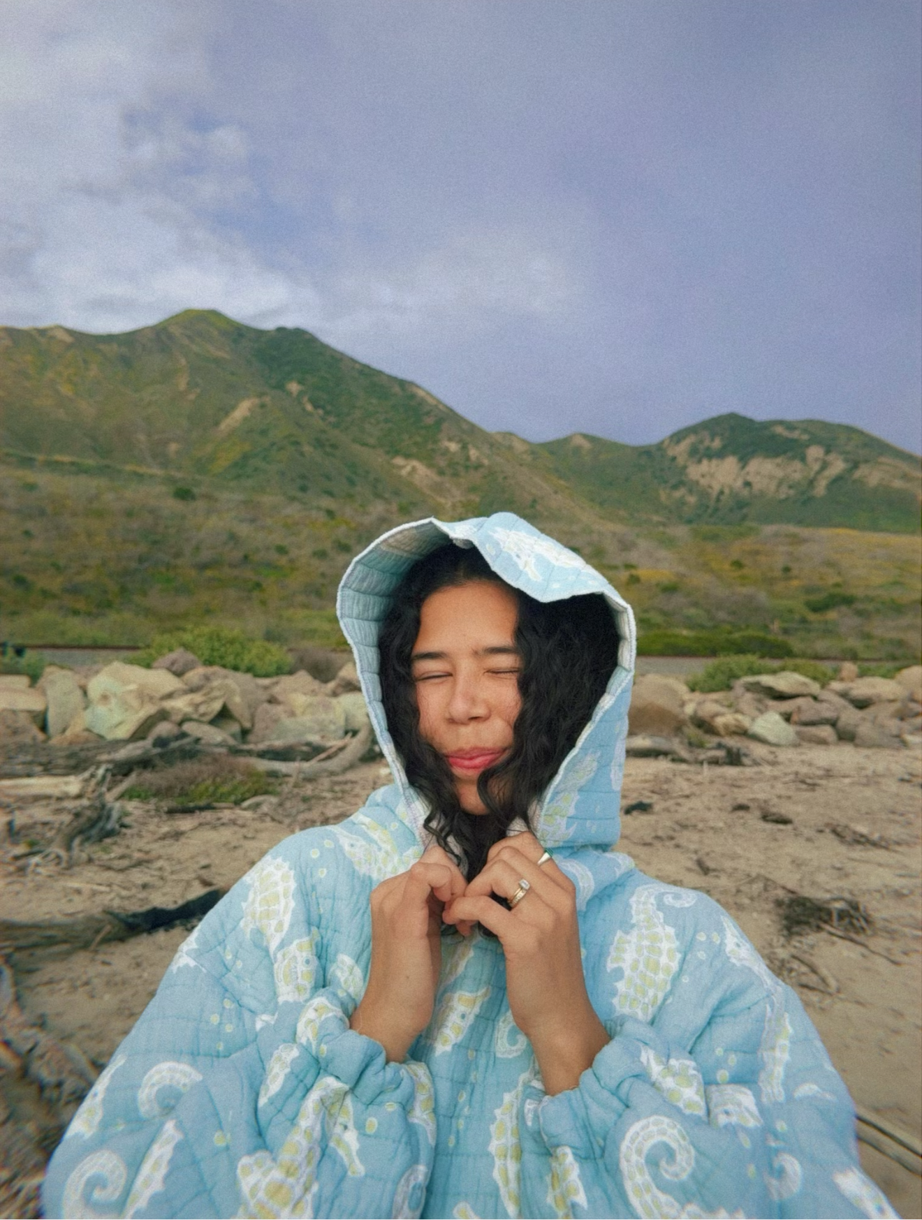Andee Hoodee (seahorses)