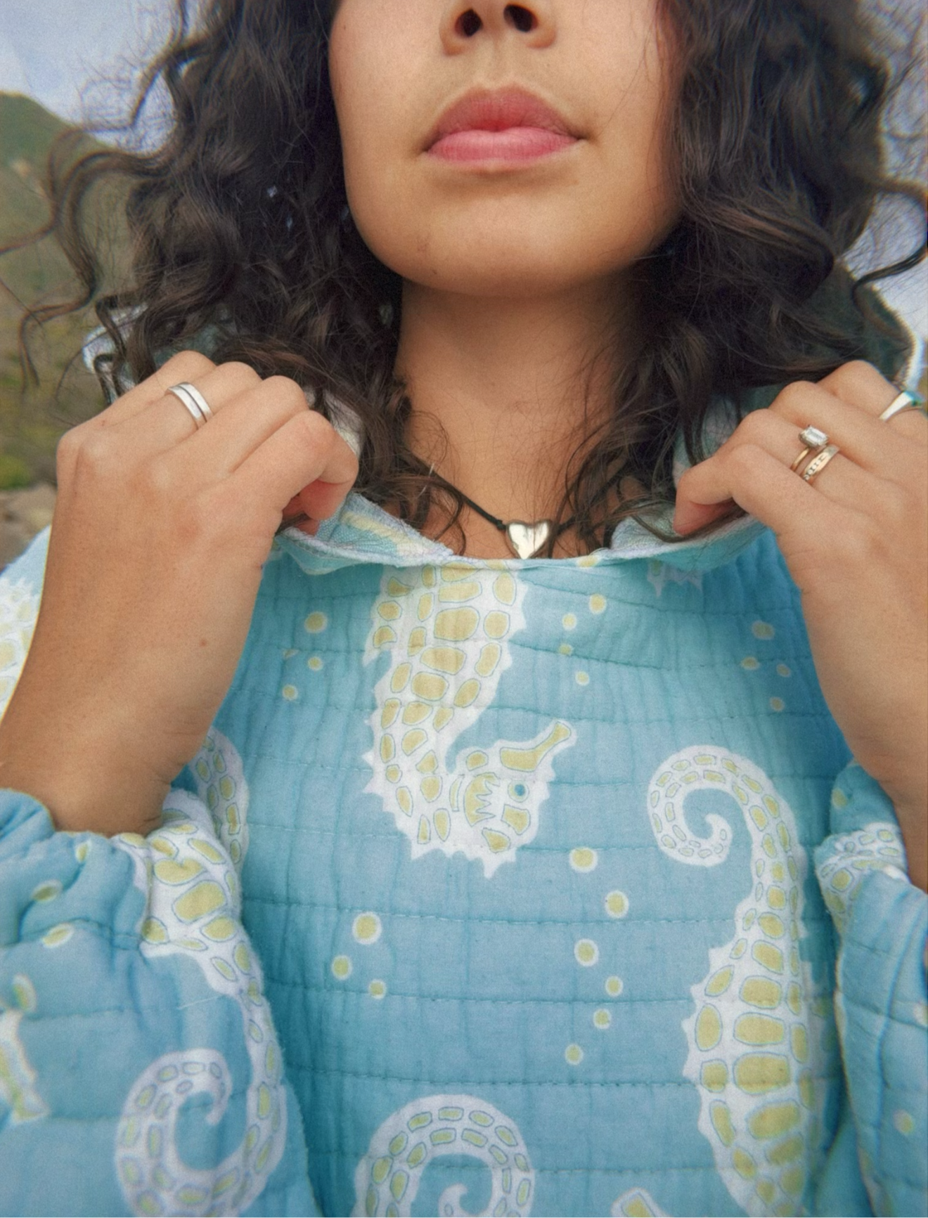 Andee Hoodee (seahorses)