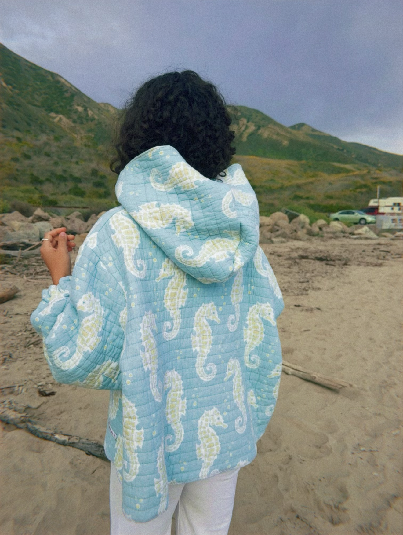 Andee Hoodee (seahorses)