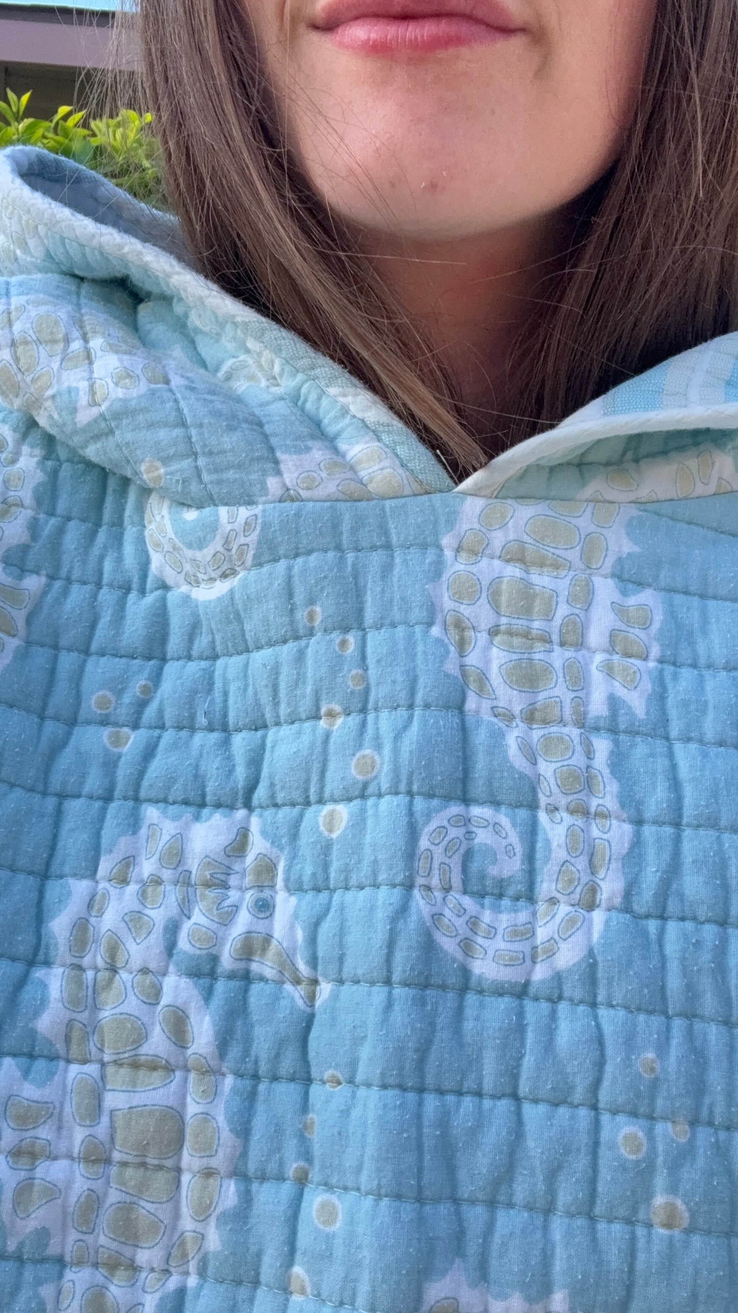 Andee hoodee (seahorse)