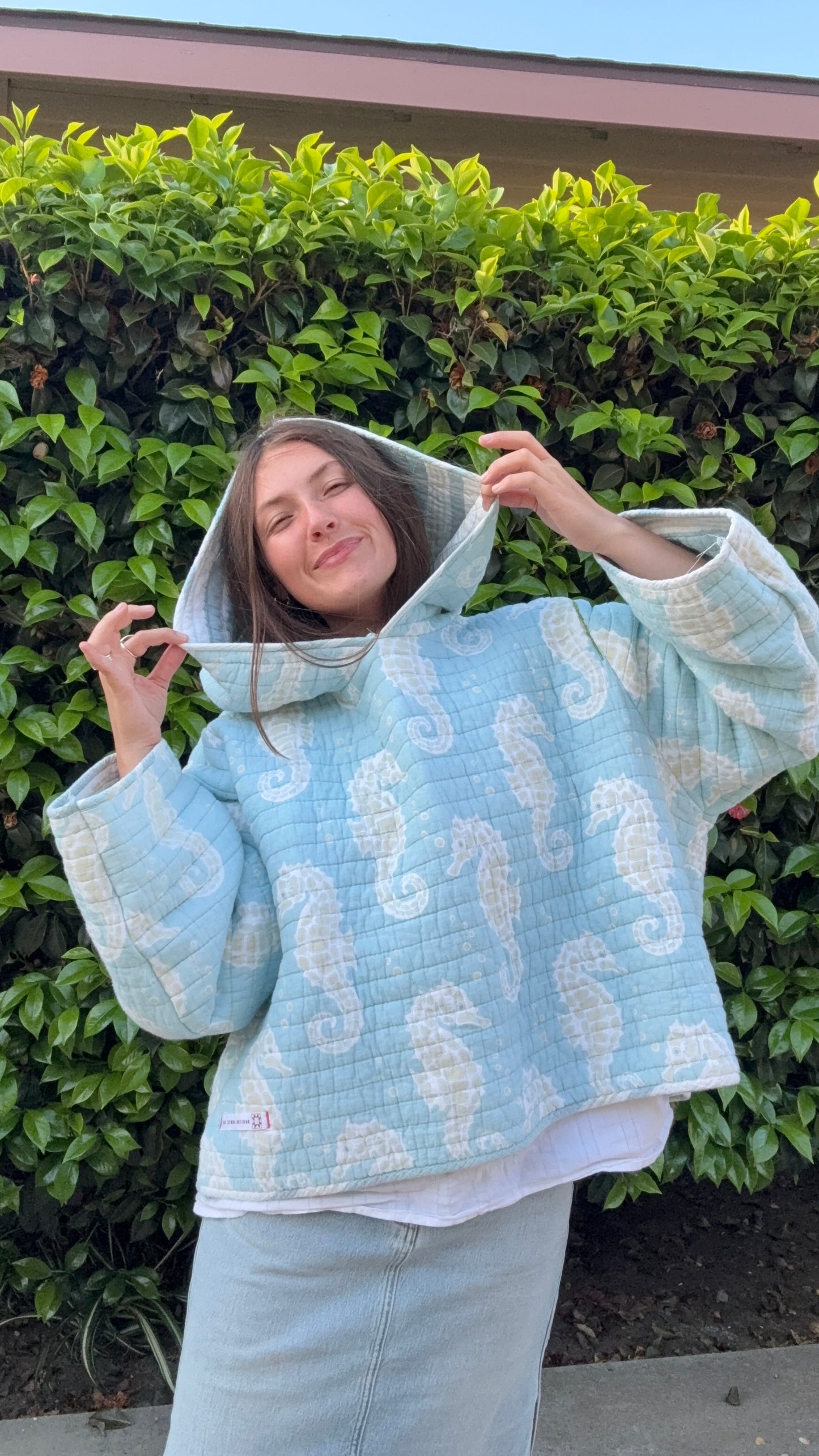 Andee hoodee (seahorse)