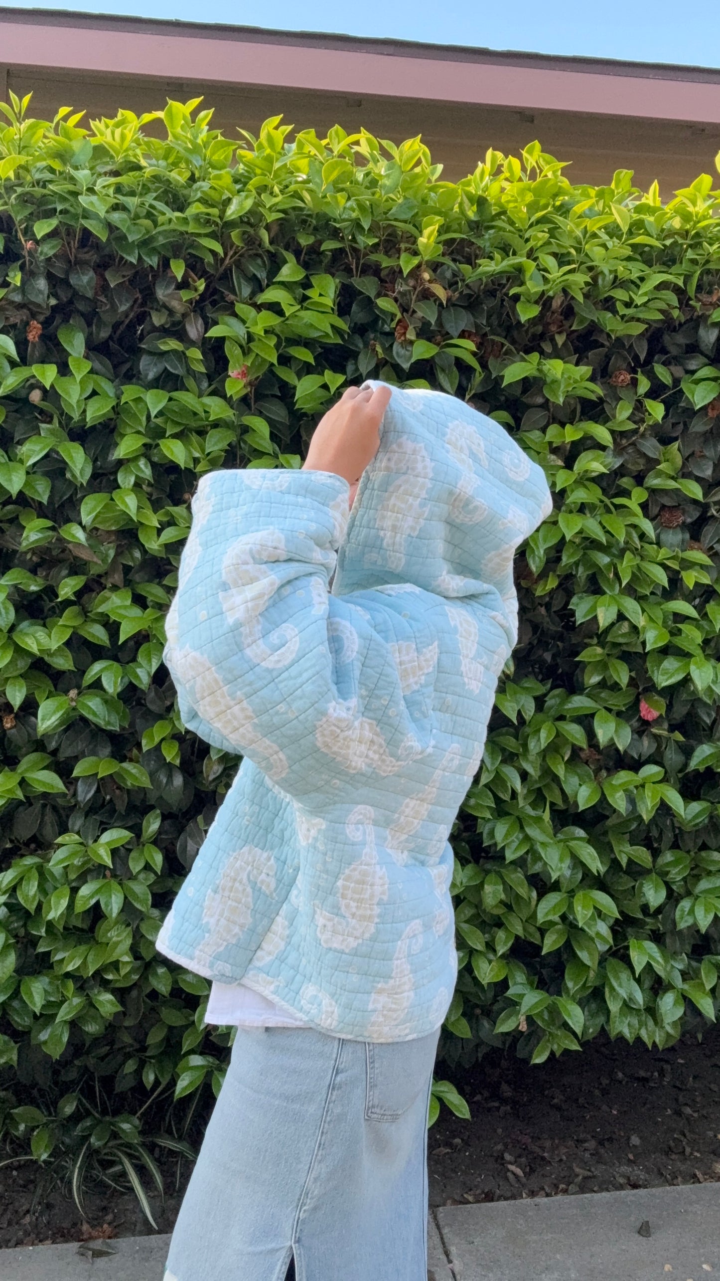 Andee hoodee (seahorse)