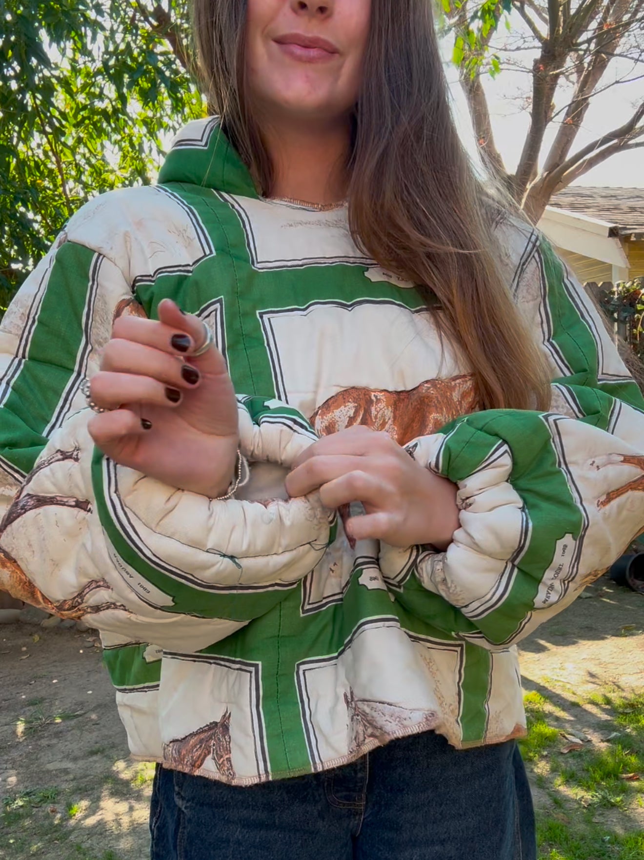 Andee hoodee (horses)