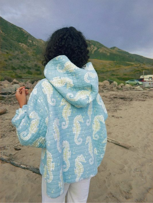 Andee Hoodee (seahorses)